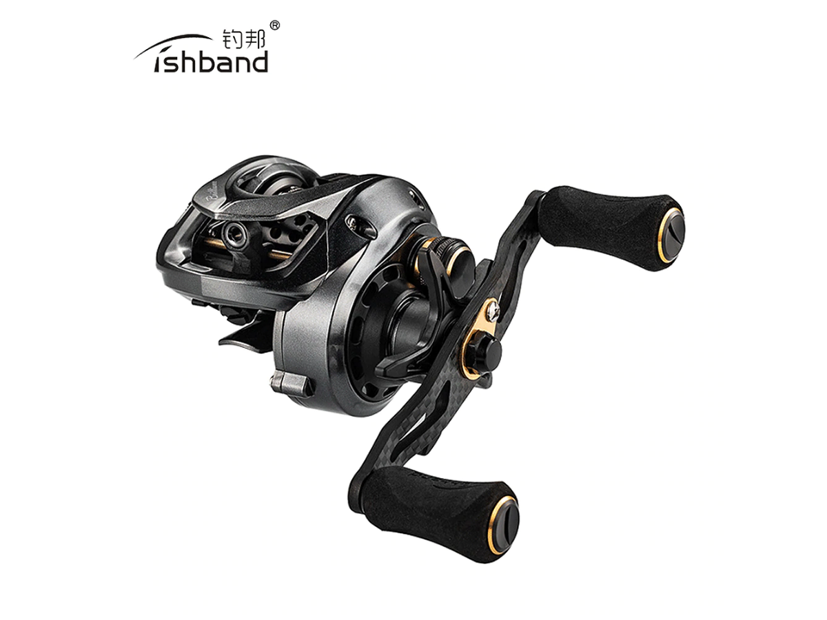 Fishband BFS GH-100 upgrade